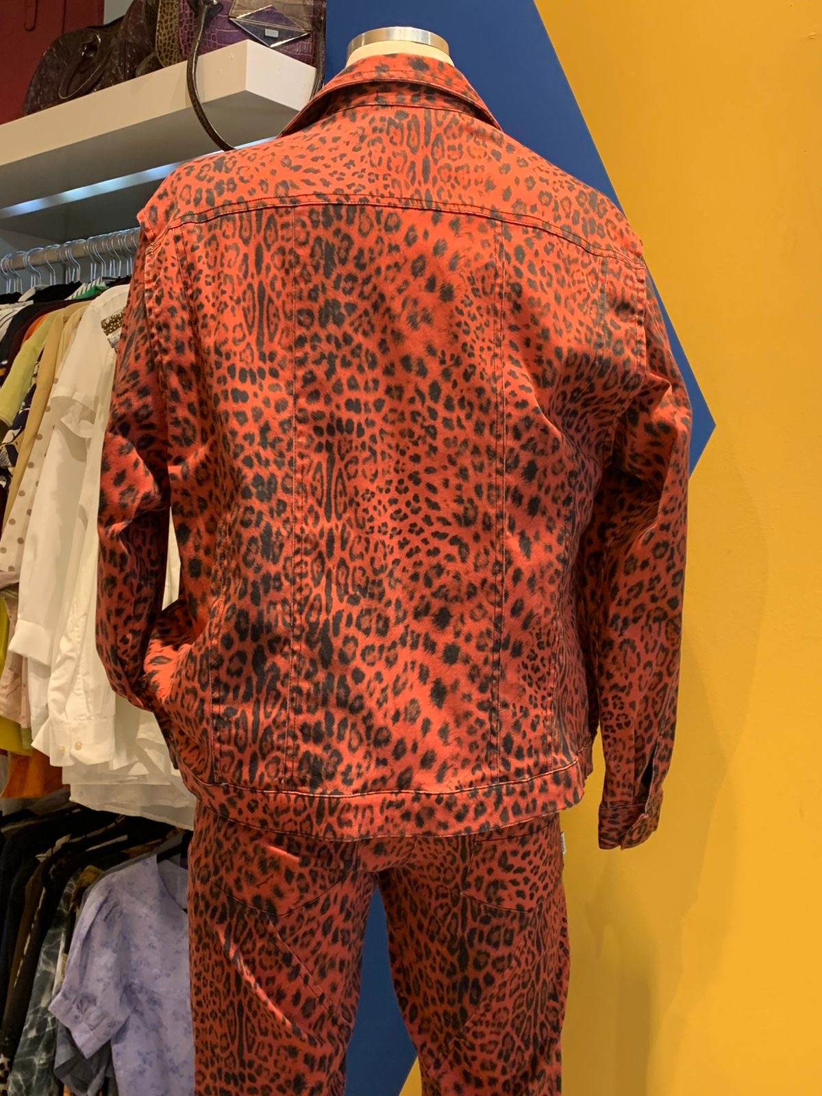 Conjunto onça laranja